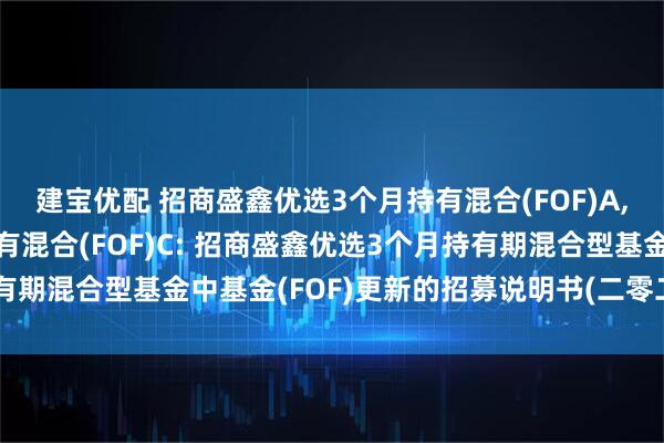 建宝优配 招商盛鑫优选3个月持有混合(FOF)A,招商盛鑫优选3个月持有混合(FOF)C: 招商盛鑫优选3个月持有期混合型基金中基金(FOF)更新的招募说明书(二零二五年第二号)