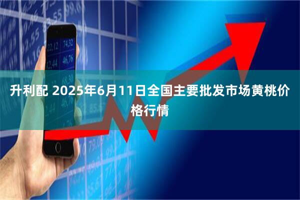 升利配 2025年6月11日全国主要批发市场黄桃价格行情