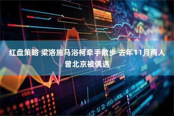 红盘策略 梁洛施马浴柯牵手散步 去年11月两人曾北京被偶遇