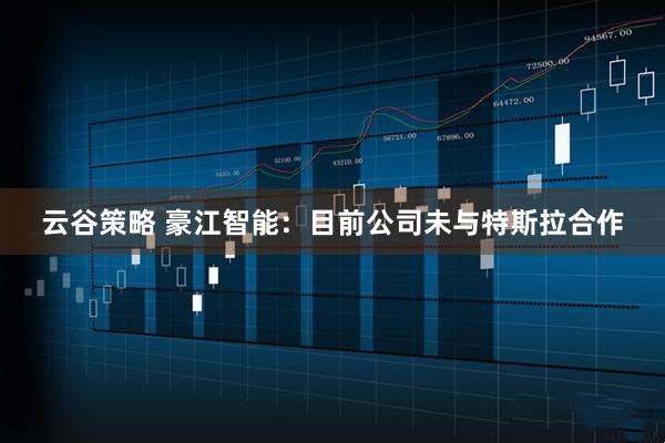 云谷策略 豪江智能：目前公司未与特斯拉合作