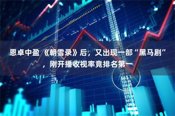 恩卓中盈 《朝雪录》后，又出现一部“黑马剧”，刚开播收视率竟排名第一