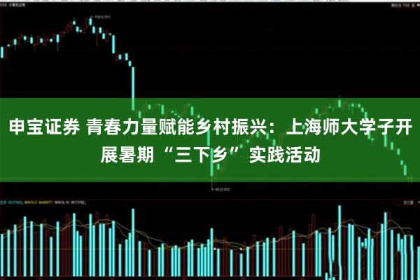 申宝证券 青春力量赋能乡村振兴：上海师大学子开展暑期 “三下乡” 实践活动