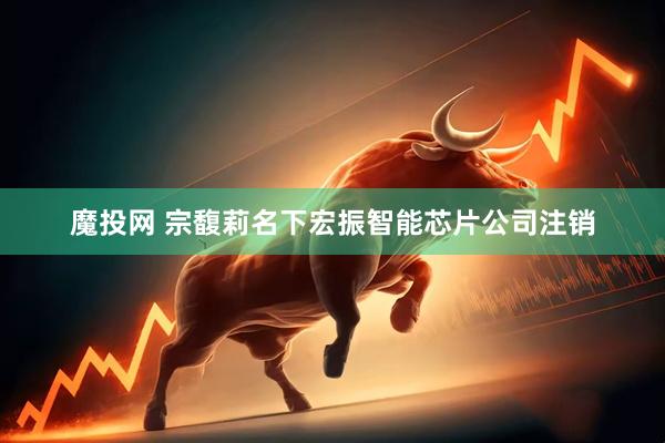 魔投网 宗馥莉名下宏振智能芯片公司注销