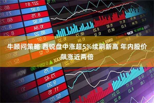 牛顾问策略 西锐盘中涨超5%续刷新高 年内股价飙涨近两倍