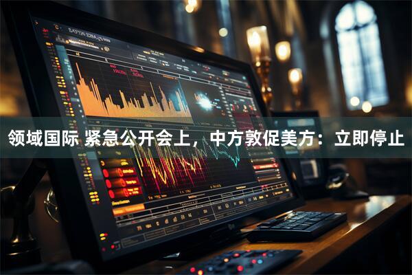 领域国际 紧急公开会上，中方敦促美方：立即停止