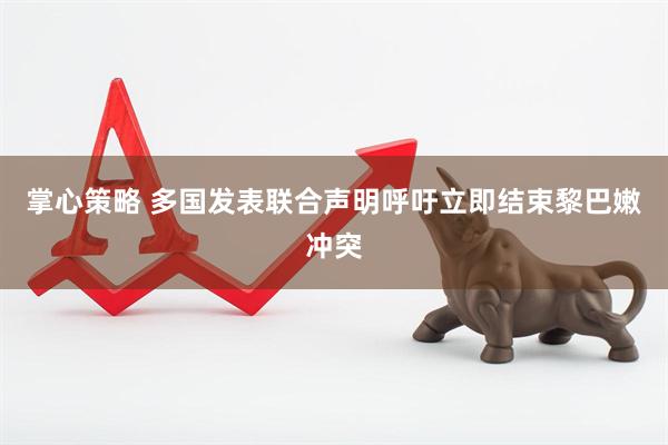 掌心策略 多国发表联合声明呼吁立即结束黎巴嫩冲突