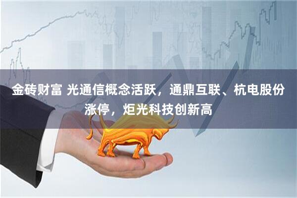 金砖财富 光通信概念活跃，通鼎互联、杭电股份涨停，炬光科技创新高